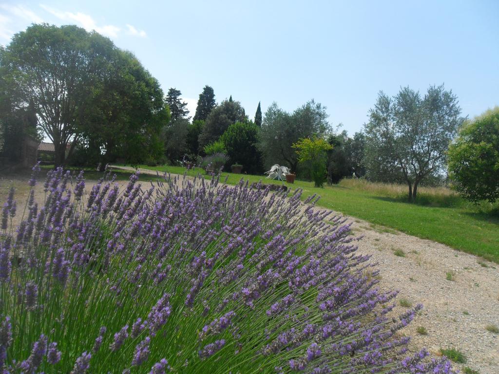 Fullino Nero Rta - Residenza Turistico Alberghiera Siena Bagian luar foto