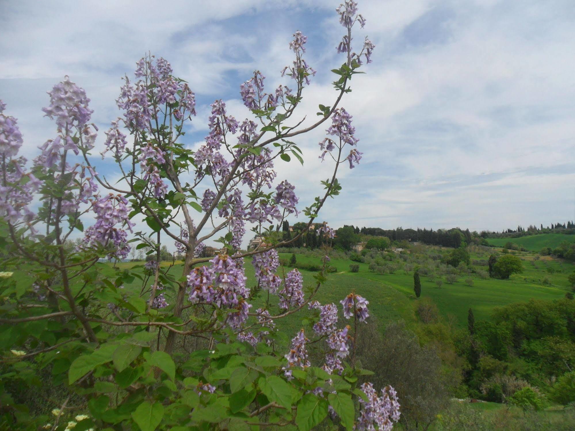 Fullino Nero Rta - Residenza Turistico Alberghiera Siena Bagian luar foto